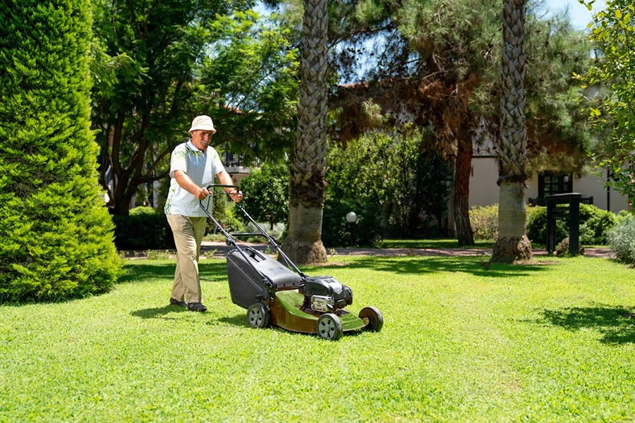 best electric lawn mower