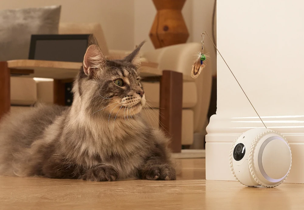 wireless home pet camera