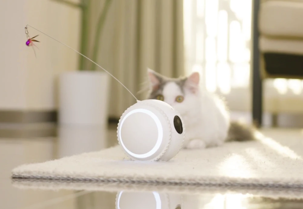 pet cameras for home