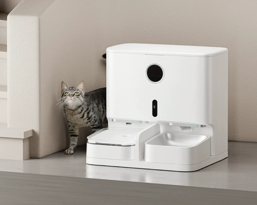 automatic pet feeder multiple cats