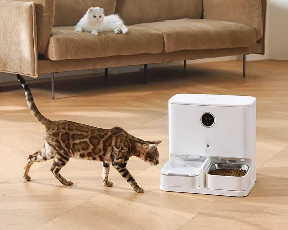 pet water and food dispenser