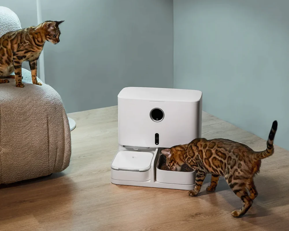 pet water and food dispenser